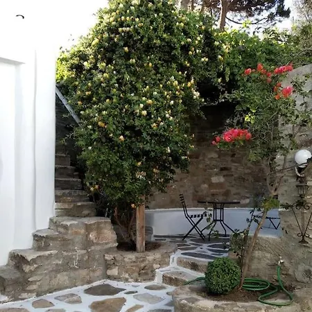 παλιό κελάρι σε πέτρινο σπίτι *