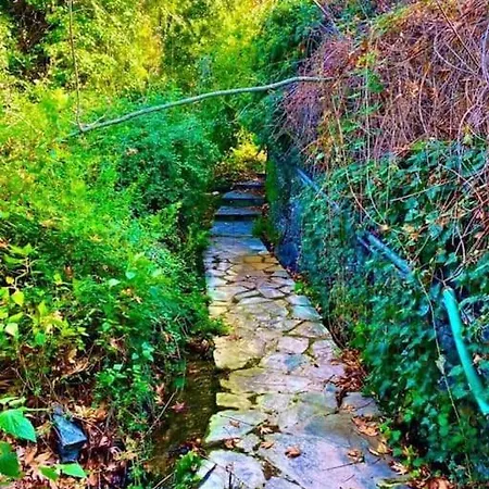 Feriehus παλιό κελάρι σε πέτρινο σπίτι *
