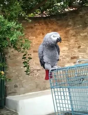 Feriehus παλιό κελάρι σε πέτρινο σπίτι Ano Potamia