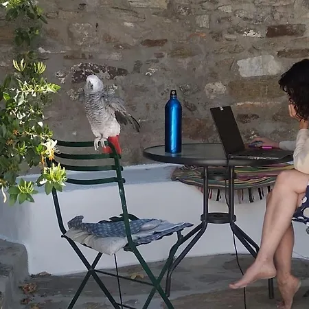 παλιό κελάρι σε πέτρινο σπίτι Ano Potamia