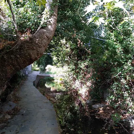 παλιό κελάρι σε πέτρινο σπίτι * Ano Potamia